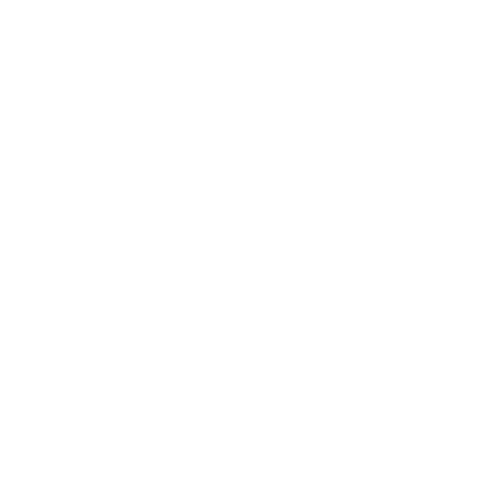 RBCI Inc Logo White